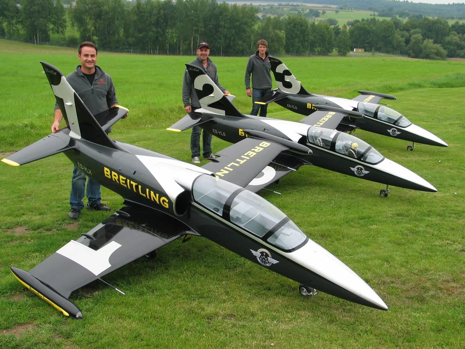 L-39 Albatros. L39 Breitling. Радиоуправляемый самолёт. Самолет радиоуправляемый огромный.