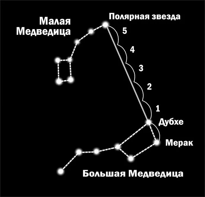 Малый узнавать. Полярная звезда в малой Медведице. Созвездие малая Медведица и Полярная звезда. Полярная звезда в созвездии малой медведицы. Карта звездного неба Полярная звезда малая Медведица.