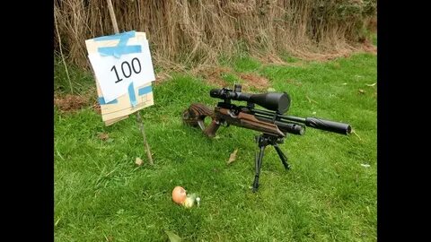long, range, extreme, air, rifle, shooting, target, egg, hunting, bench, re...