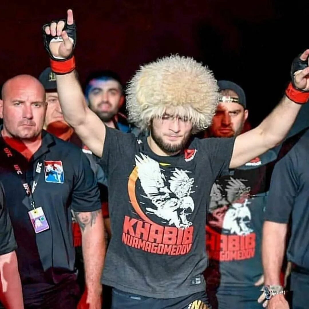 Про хабиба нурмагомедова. Xabib nurdagametov. Khabibi Nurmagumedov. Khabib Nurmagomedov UFC.