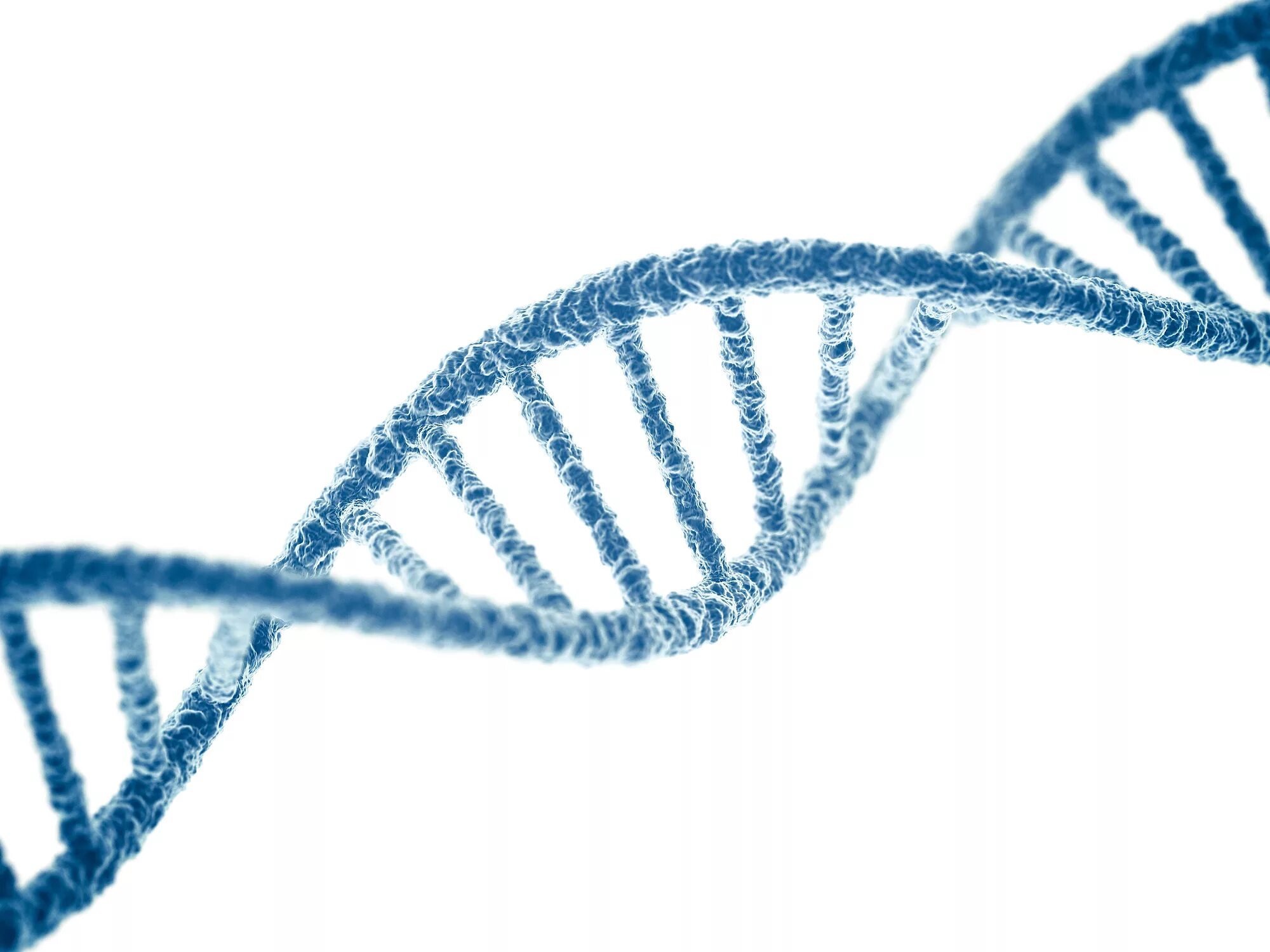 ДНК. ДНК на белом фоне. Цепочка ДНК. Спираль ДНК.