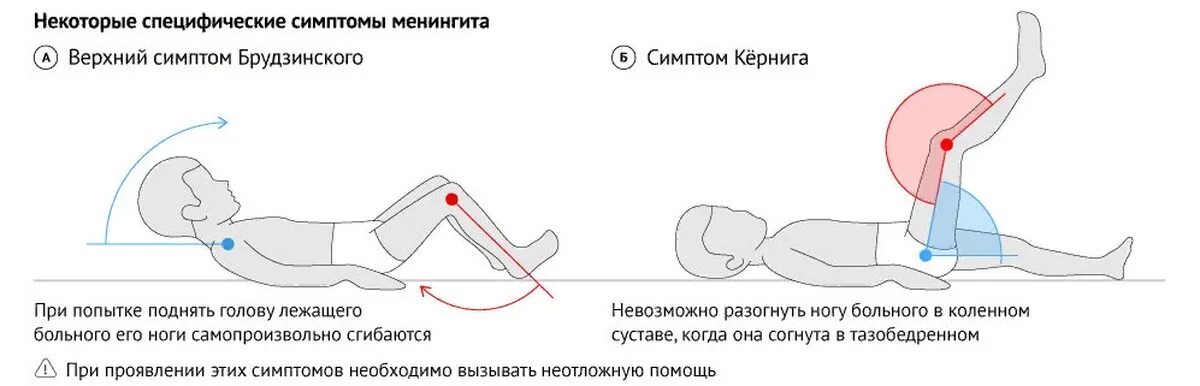 Тест на менингит