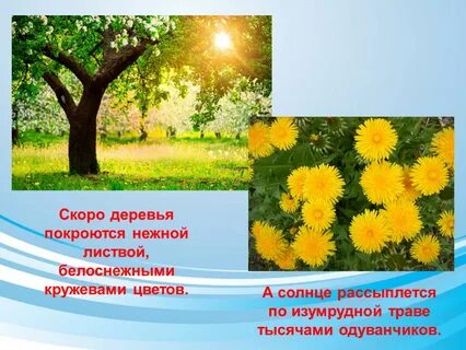 Покроется листвой