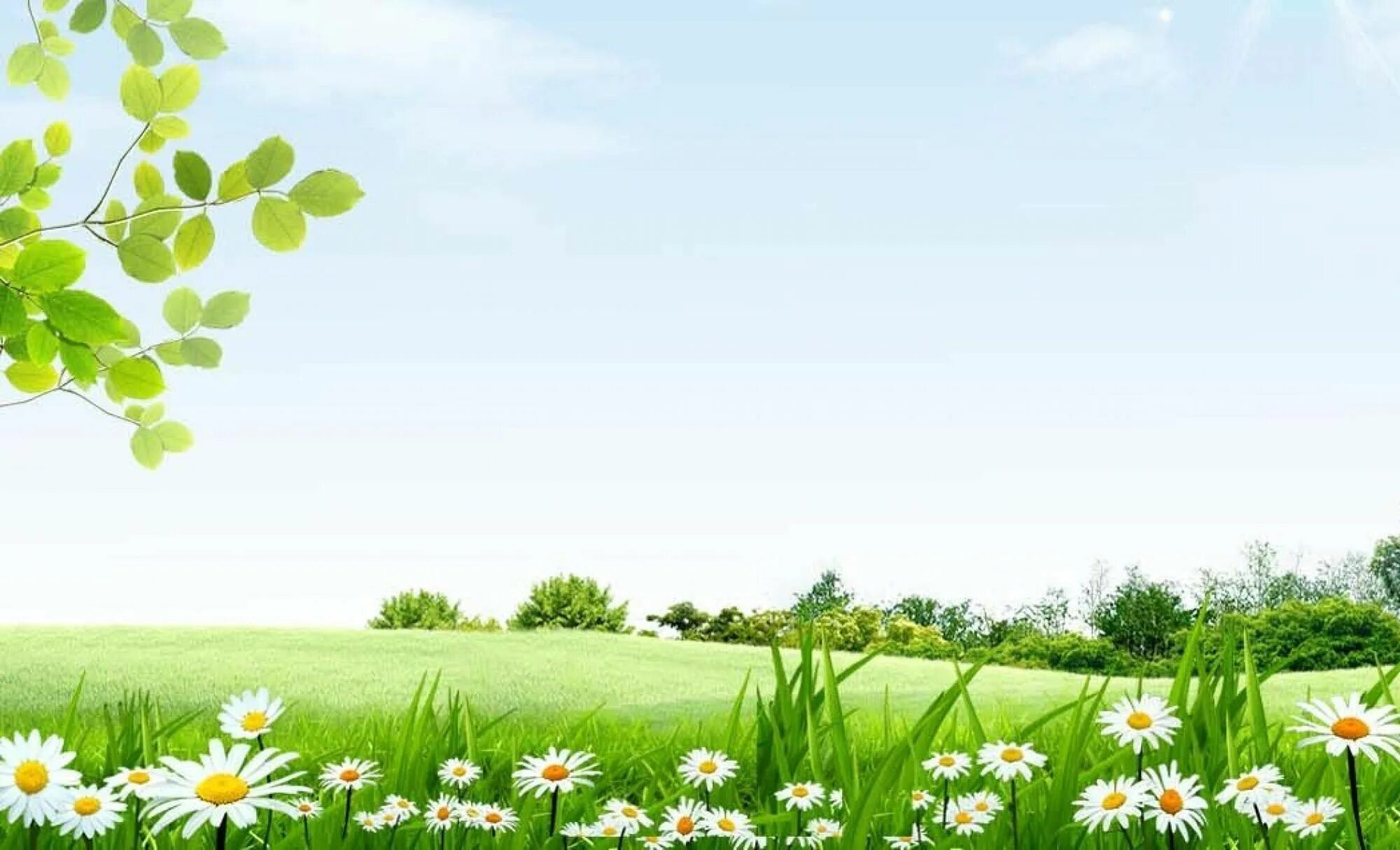 Село пичкиряево сасовского района рязанской области. Стенд "объявления" с карманом. Успенские поляны коттеджный поселок. Московская обл пос успенский поняны. Республика мордовия зубова поляна.