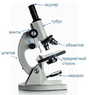 Жалаңаш қыздардың видеоларын қараңыз