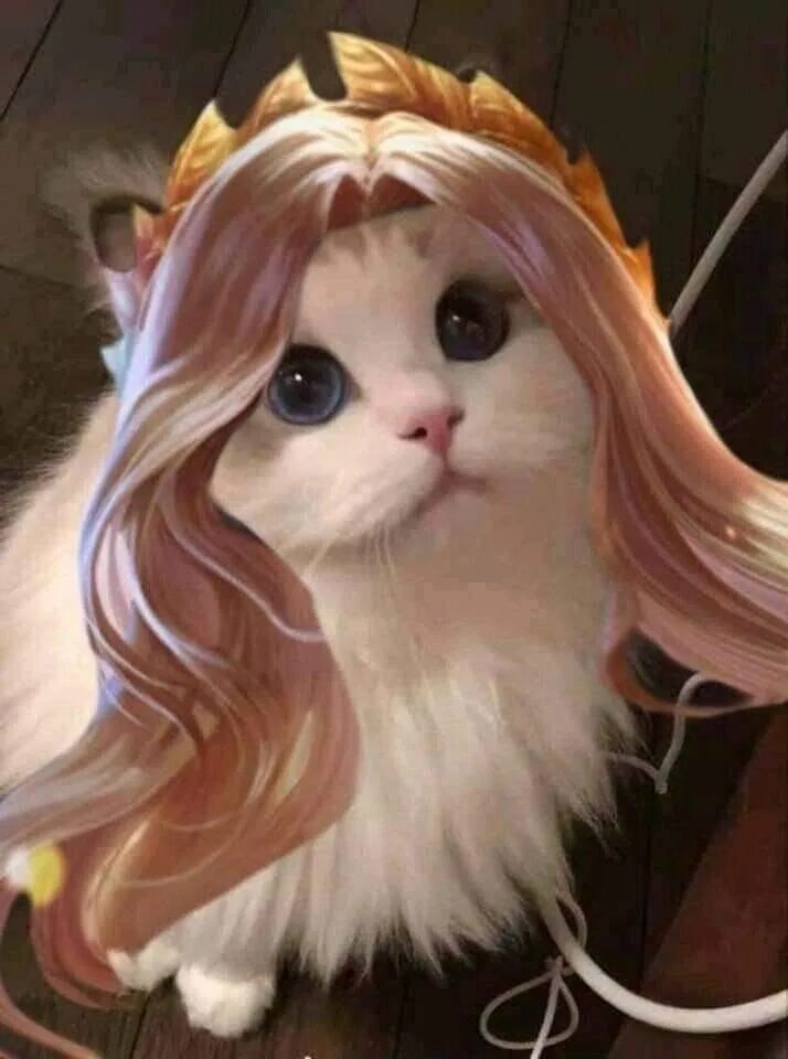 Cat edits