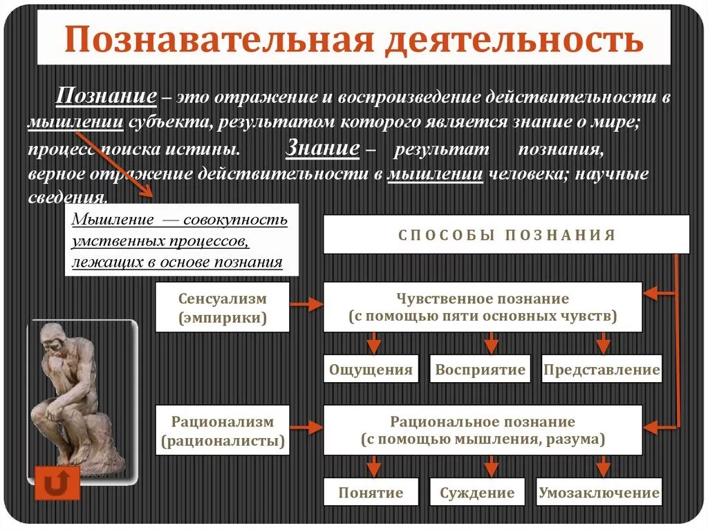 Познавательная деятельность. Виды деятельности познание. Познавательная деятельность человека. Виды познавательной деятельности человека. Субъектом познания общества является