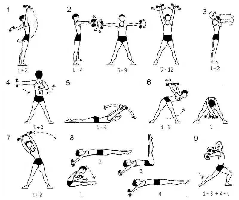 Зарядка с гантелями для женщин. Комплекс упражнений с гантелями (10-12 упражнений). Комплекс общеразвивающих упражнений с гантелями 10-12 упражнений. Упражнения с гантелями для подростков. Комплекс упражнений с гантелями для мальчика 10 лет.