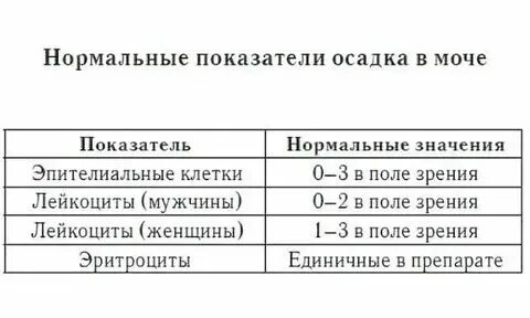 Эпителий плоский в моче норма у беременных