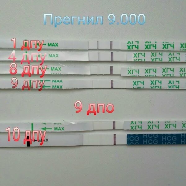 Хгч 5000 через сколько выводится из организма. Тесты после укола хгч. тест после укола хгч 1500. тест хгч 1500 через 48 часов. тест на беременность после укола хгч 10000.