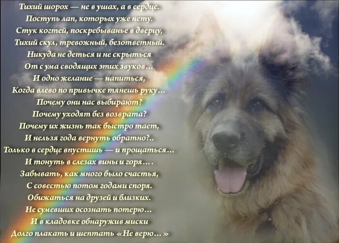 Песня тихим шелестом