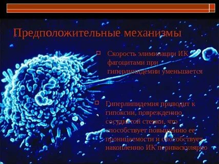 Фагоцитарная теория иммунитета