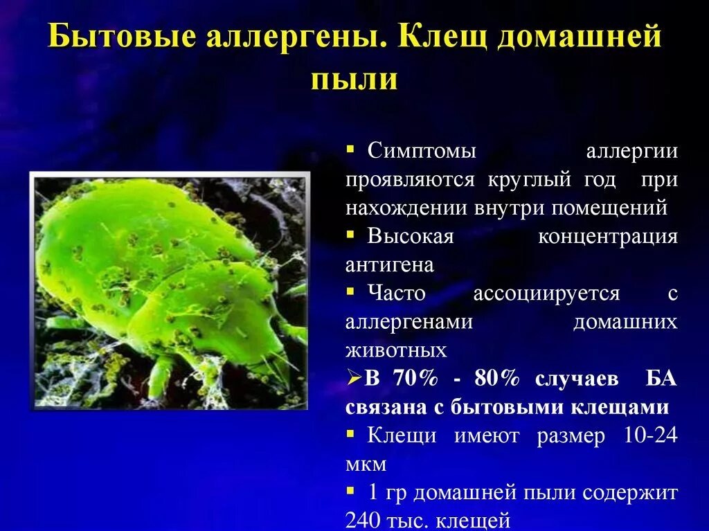 Аллерген клещевой