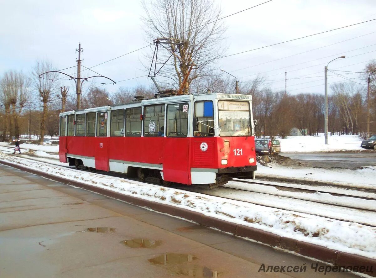Новые трамваи в череповце. Череповецкий трамвай. Новые трамваи львята в череповце. 71-608 трамвай. Череповецкий трамвай.