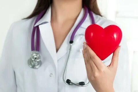 Сердце медицинское картинки