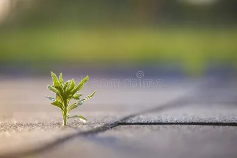 Beginning less