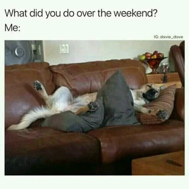 What do you do on weekend. What did you do at the weekend. Over the weekend. What the weekend. 1 what did you do last weekend