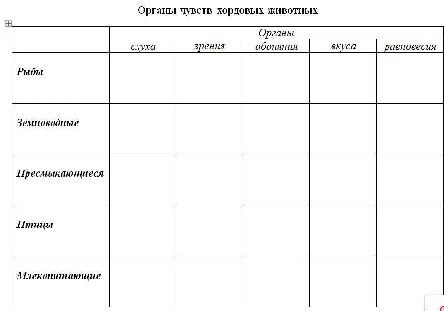 Заполните таблицу органов животных. Таблица эволюция органов чувств 7 класс. таблица эволюция органов чувств биология 7 класс. органы чувств у хордовых таблица. таблица органы чувств 7 класс биология.