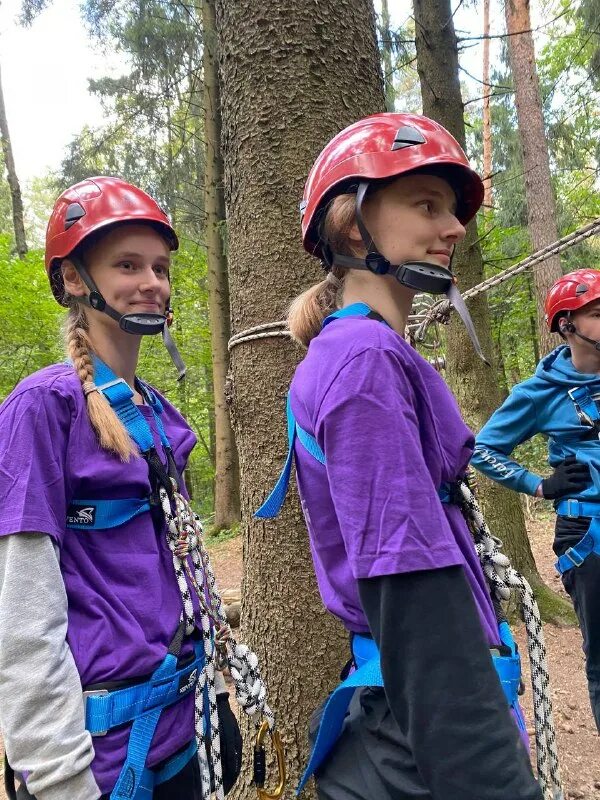 испытание лесов