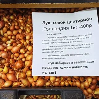 Севок центурион отзывы