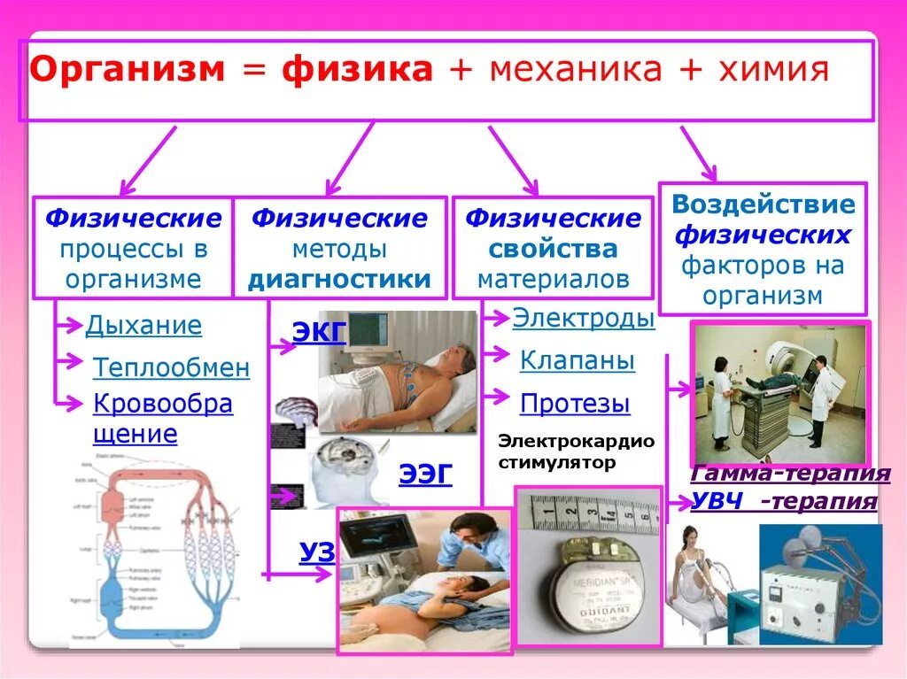 Физические процессы живых организмов. Физические процессы в организме. Физические процессы в физике. Химические и физические процессы в химии. Физика в организме человека.