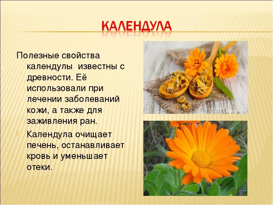 Как выглядит описание