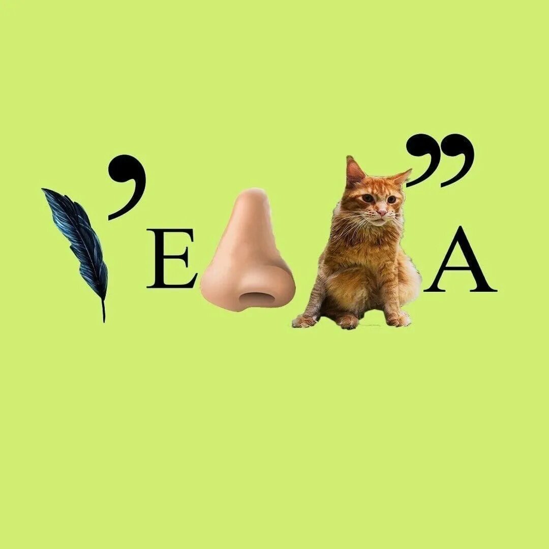 Веселые ребусы в картинках. Ми ребус. Ребус со словом кошка. Ми ребус. Ребусы по экономике.