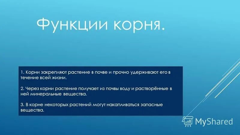 Корень 2 класс русский язык. Текст с однокоренными словами. Задание по теме приставка суффикс для 3 класса. Растворитель корень слова. Произведение корень слова.