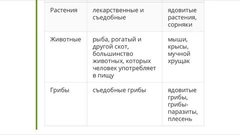 Роль организмов в мире