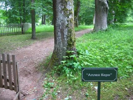 Гора аллея
