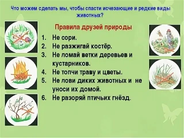 Сохраняй какой вид