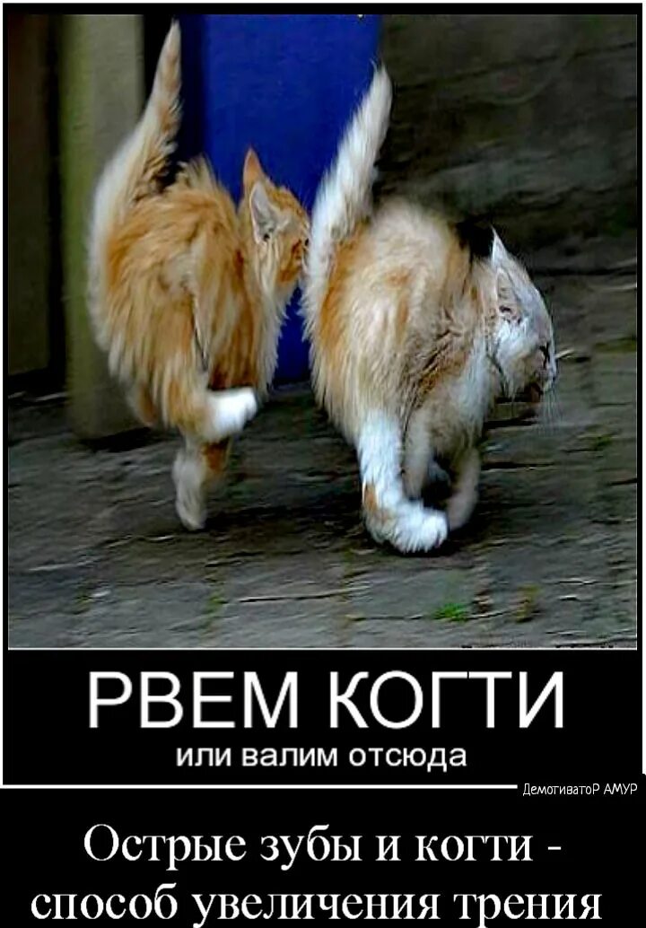 Тг дети валите отсюда. Рвать когти. свалить с работы прикол. рви когти. пора сваливать отсюда.