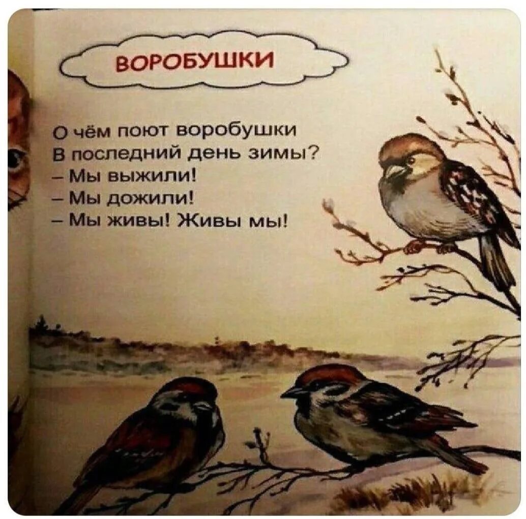 Воробушек рассказ ждановны глава 37. Мы выжили мы дожили мы живы живы мы. О чем поют воробушки в последний день зимы. Стихотворение о чем поют воробушки в последний. О чем поют воробушки в последний день зимы мы выжили мы дожили мы живы.