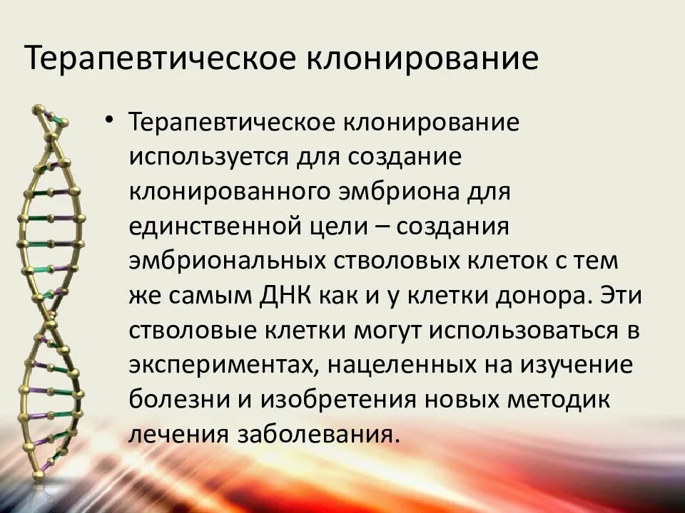 Как делают клонов. Терапевтическое клонирова. Клонирование человека презентация. Проблемы терапевтического клонирования. Терапевтическое клонирование стволовые клетки.