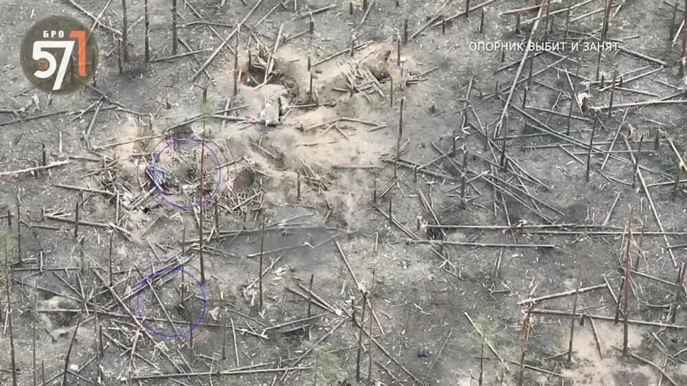 Всу и вс рф. Штурм кременной. Украина г кременная. Бои за кременную сейчас. Отряд черная мамба позывной рубеж кременная сватово.