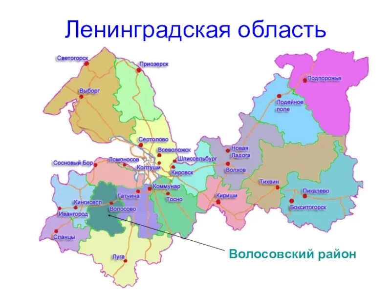 Ленинградская область. Карта. Карта лен.обл.по районам. Ленинградская обл карта области. Районы лен обл на карте. С кем граничит ленинградская область