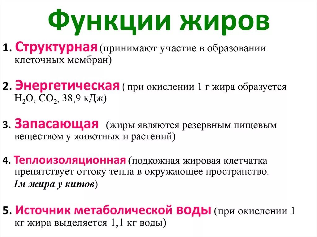 Функции жиров в питании. Опишите строение и функции жиров. Функции жиров с примерами. Биологический свойства жиров функции. Перечислите биологические функции жиров..