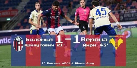Болонья статистика