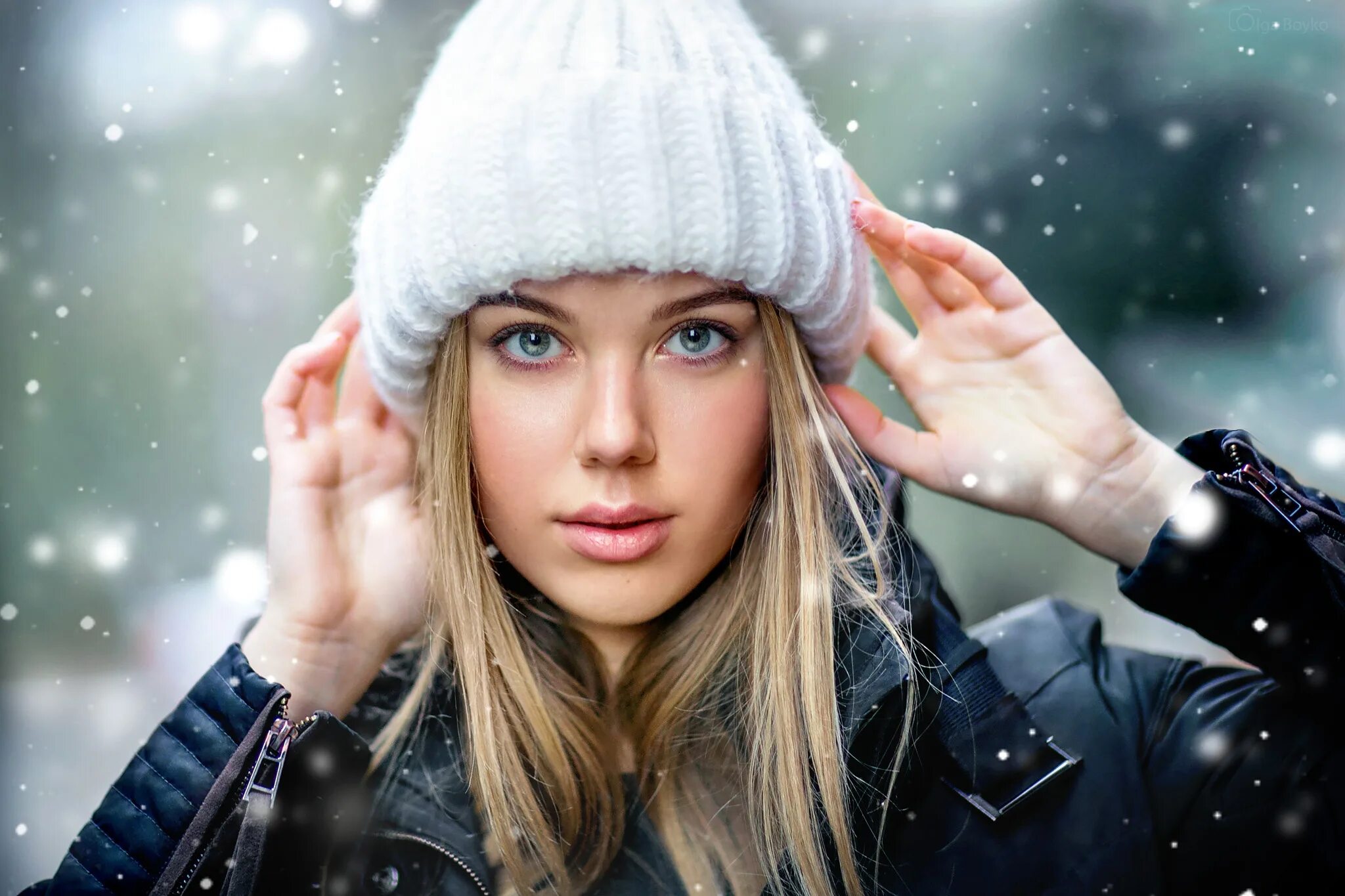 Snow model
