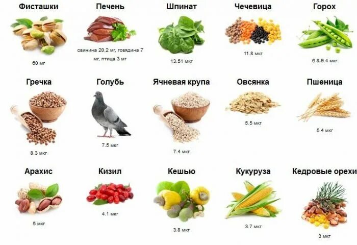 Наибольшее количество железа в продуктах таблица Продукты с высоким содержанием железы
