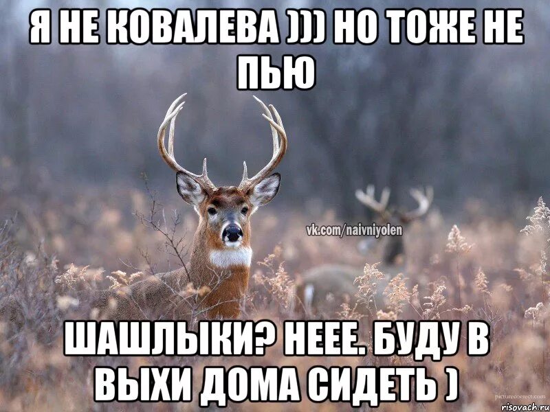 Выхи провести. Алкомемы картинки. Выхи. С пятницей картинки. Пятница вечер скучно.