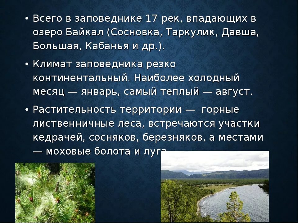 Заповедники доклад 3 класс. Сообщение о заповеднике. Доклад о заповеднике. Рассказ о заповеднике 3 класс. Сообщение о заповеднике России.