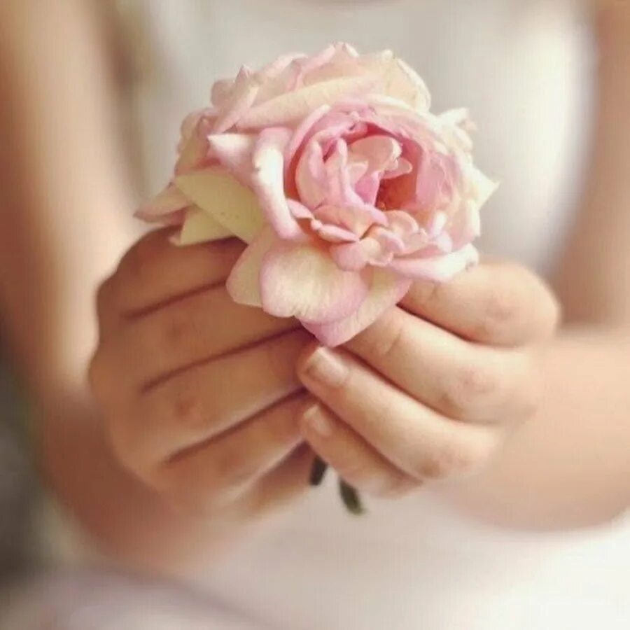 Букет цветов с пожеланиями. От души и уважение. Гифы с уважением и благодарностью. Нежные цветы в руках. Благодарность цветы.