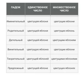 Яблоня какое число