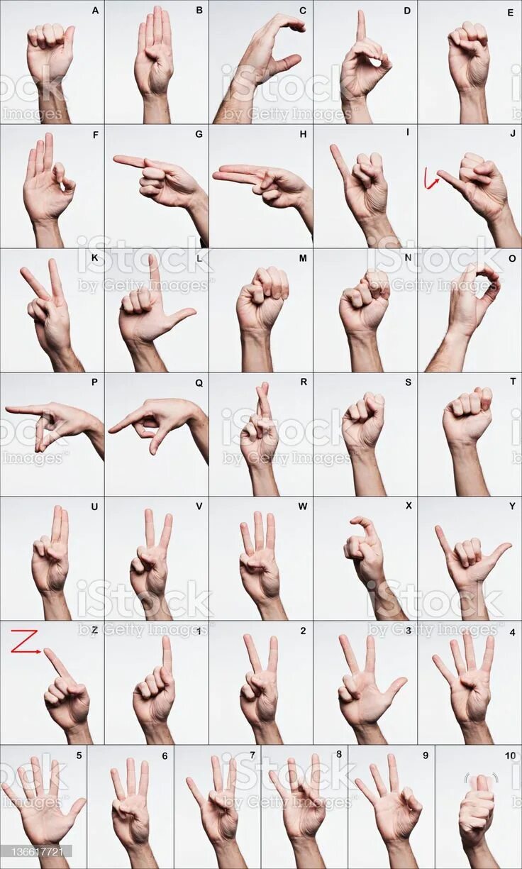 Амслен язык жестов. Язык жестов для глухих. Как показать хочу жестом. Как показать хочу жестом. Горло на языке жестов.