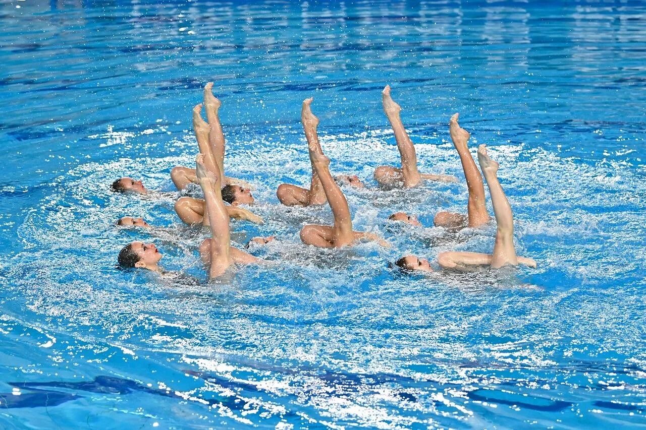 Экран санкт-петербург плавание синхронное. Соревнования по синхронному плаванию в санкт-петербурге. Пловцы синхронисты. Синхронное плавание санкт петербург. Синхронное плавание санкт петербург.