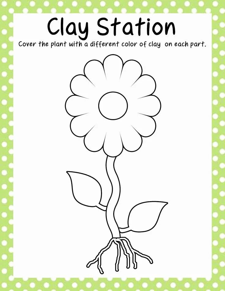 Flower exercise. Parts of Plants for Kids. Worksheets цветы for Kids. Цветок in English for Kids. Part of Plants activity for Kids.