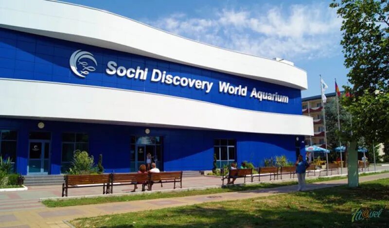 3 discovery world. Сочи Discovery World. Адлер Ленина 219 океанариум. Sochi Discovery World Aquarium ул. Ленина, 219а/4, Сочи. Дельфинариум Сочи Ленина 219 а/ 4.