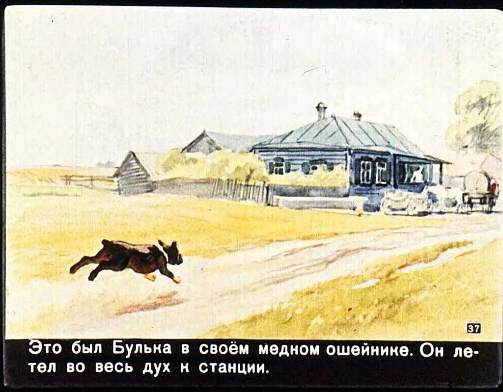 Булька жанр. Иллюстрация к рассказу булька толстого. толстой л. &quot;булька&quot;. иллюстрация к произведению льва толстого булька. рисунок к произведению толстого булька.