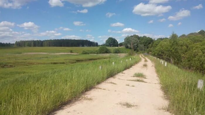 Погода в шаровичах. Тюнино Брянская область. Тюнино Брянская область Рогнединский район. Тюнино школа Рогнединский район. Село Тюнино Брянской области.